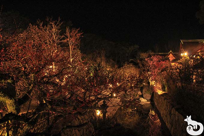 北野天満宮 梅のライトアップ 庭園