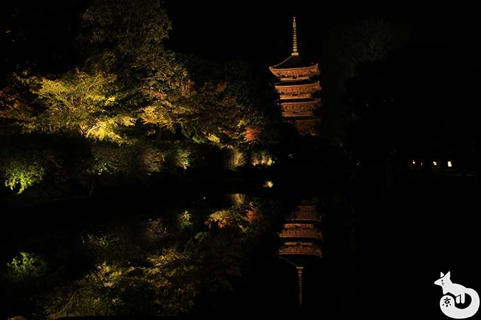 東寺 秋のライトアップ｜水路付近から撮影した五重塔