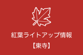 東寺の紅葉ライトアップ情報｜2018年の開催日程