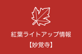 妙覚寺の紅葉ライトアップ情報｜2018年の開催日程