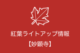 妙顕寺の紅葉ライトアップ情報｜2018年の開催日程
