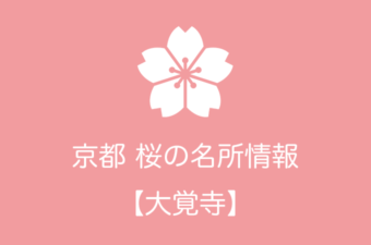 大覚寺の桜情報｜2019年の開花予想から例年の見頃時期まで