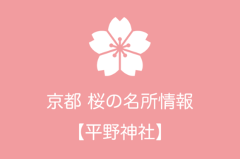 平野神社の桜情報｜2019年の開花予想から例年の見頃時期まで