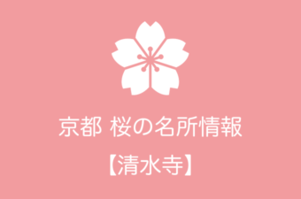 清水寺の桜情報｜2019年の開花予想から例年の見頃時期まで