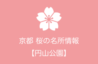 円山公園の桜情報｜2019年の開花予想から例年の見頃時期まで